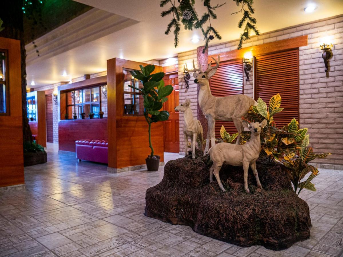 Hotel El Condor Cortazar エクステリア 写真