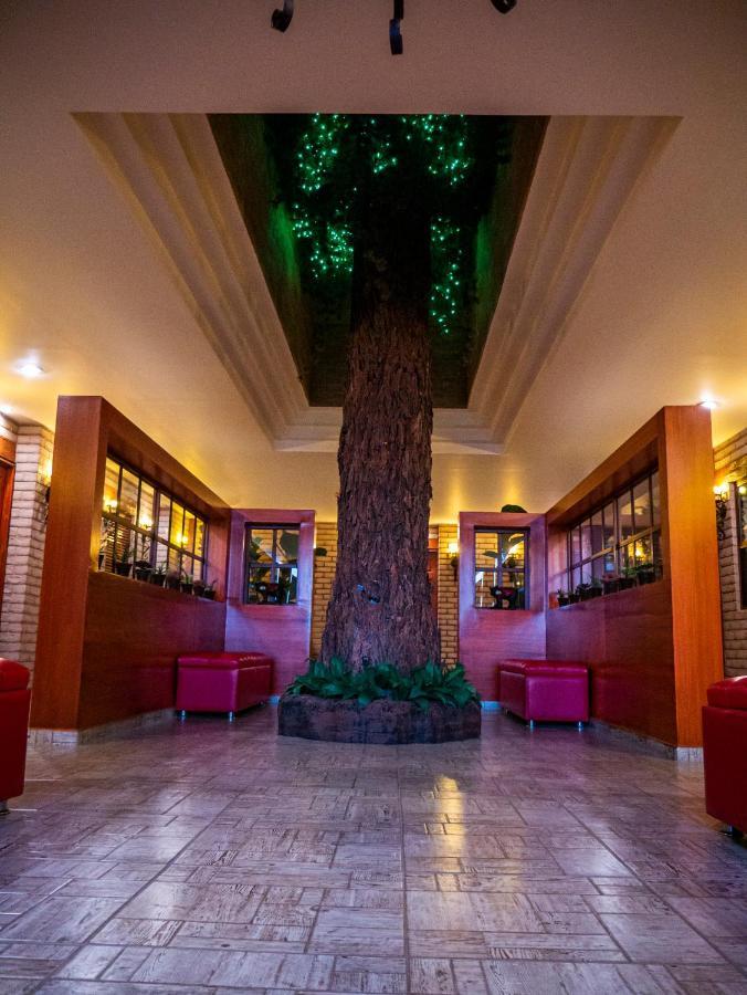Hotel El Condor Cortazar エクステリア 写真